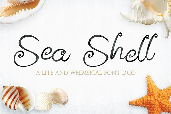 Sea Shell