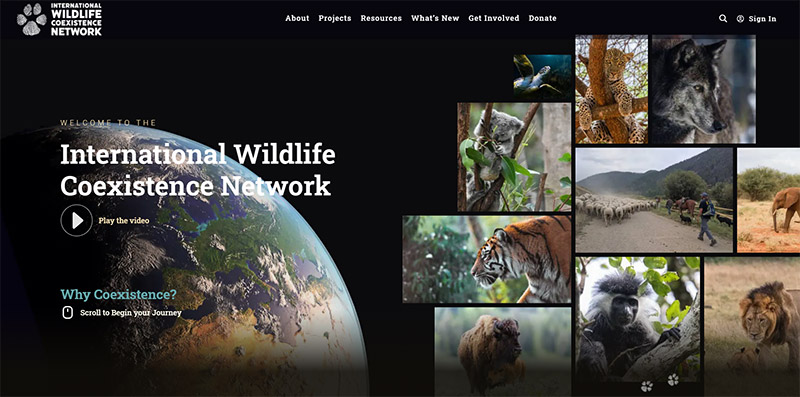 International Wildlife Coexistence Network