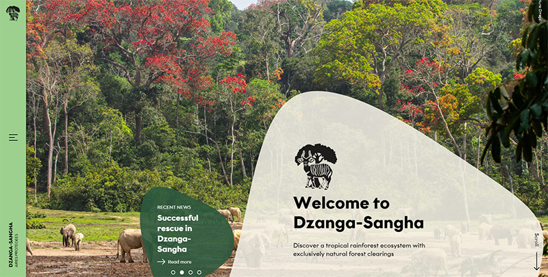 Dzanga-Sangha