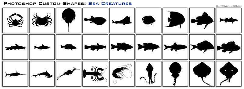 Sea Creatures