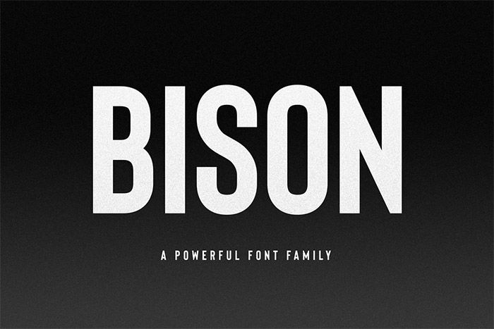 Bison