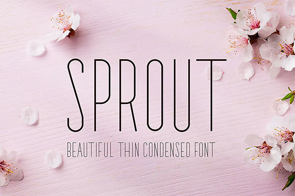 Sprout