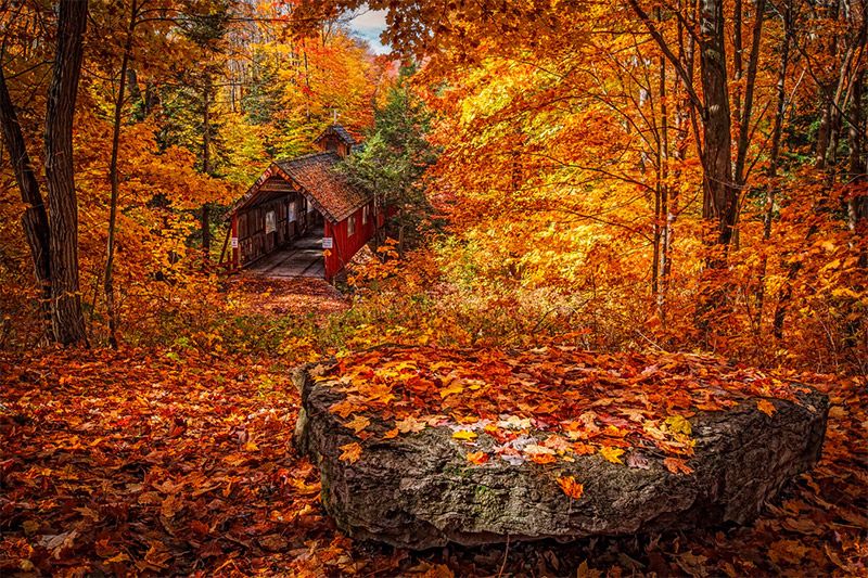 Covered Bridge