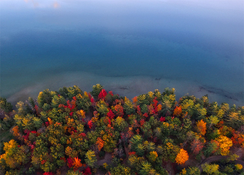 Edge of the Lake