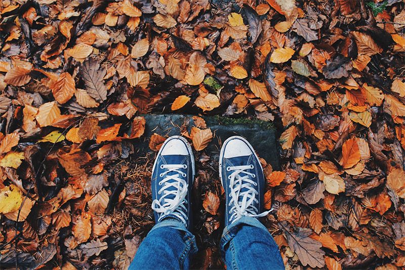 Feet and Leaves