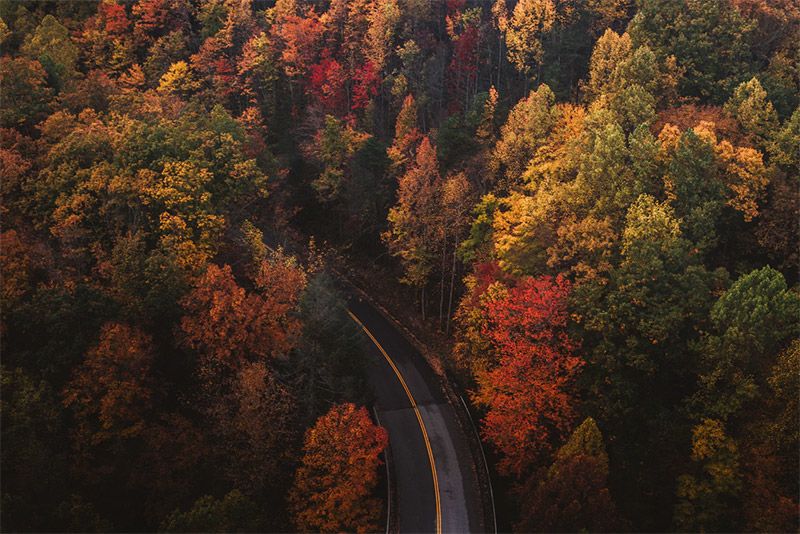 Autumn Colors from Above