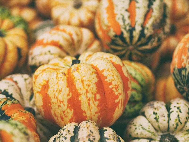 Gourds