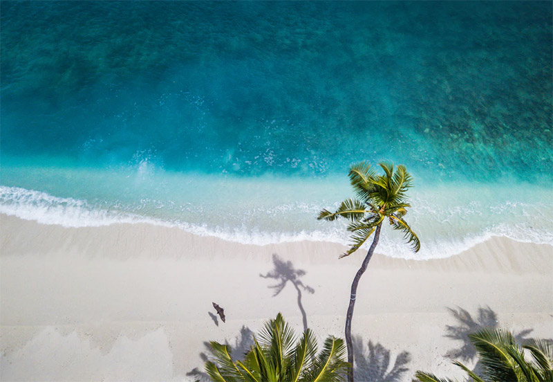 Beach from Above