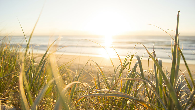 Beach Sunset