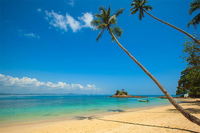 Tropical Beach