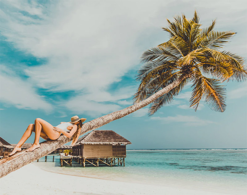 Resting on Palm Tree