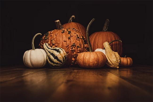 Pumpkins Wallpaper