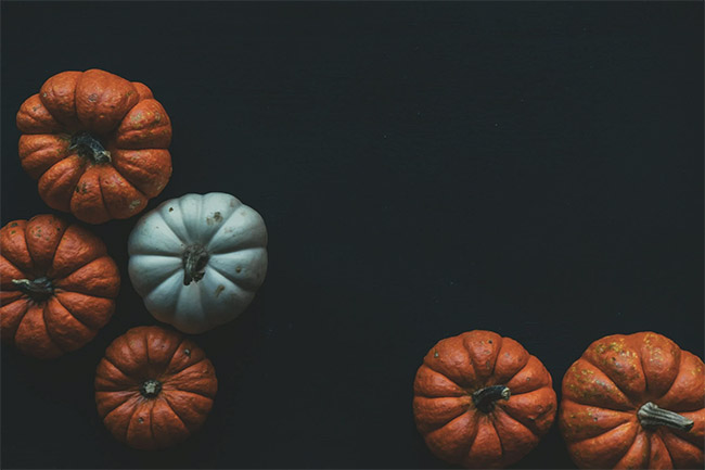 Pumpkins Wallpaper