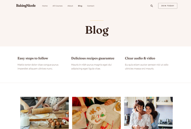 Astra WordPress Theme