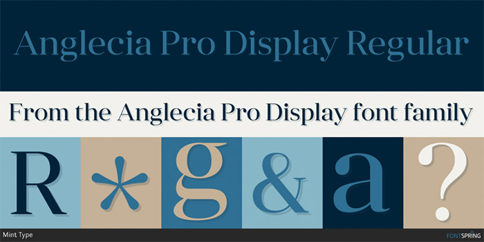 Anglecia Pro Display