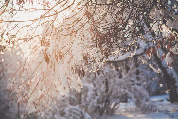 Early Snow