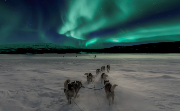 Northern Light Sleigh Ride