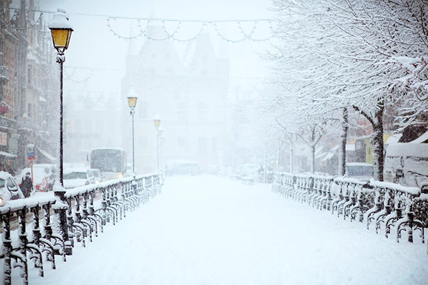 Snow-Covered Road