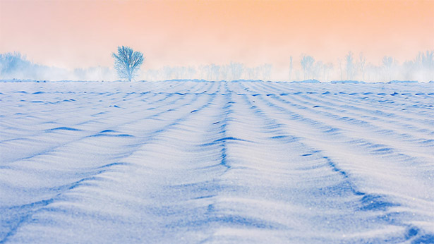 Winter Sand Dunes