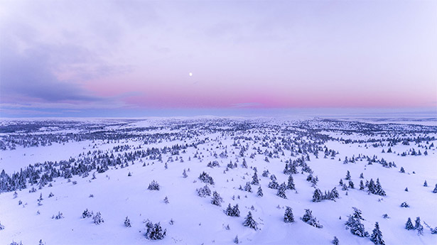 Winter Landscape from Above