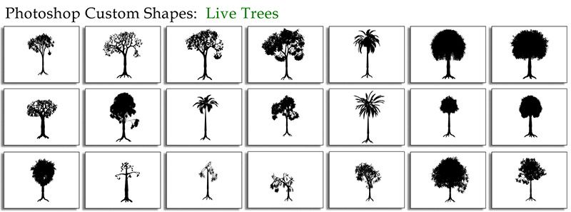 Live Trees