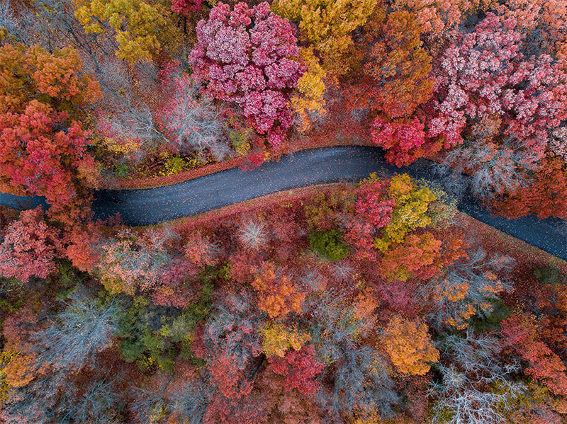 Winding Road from the Air